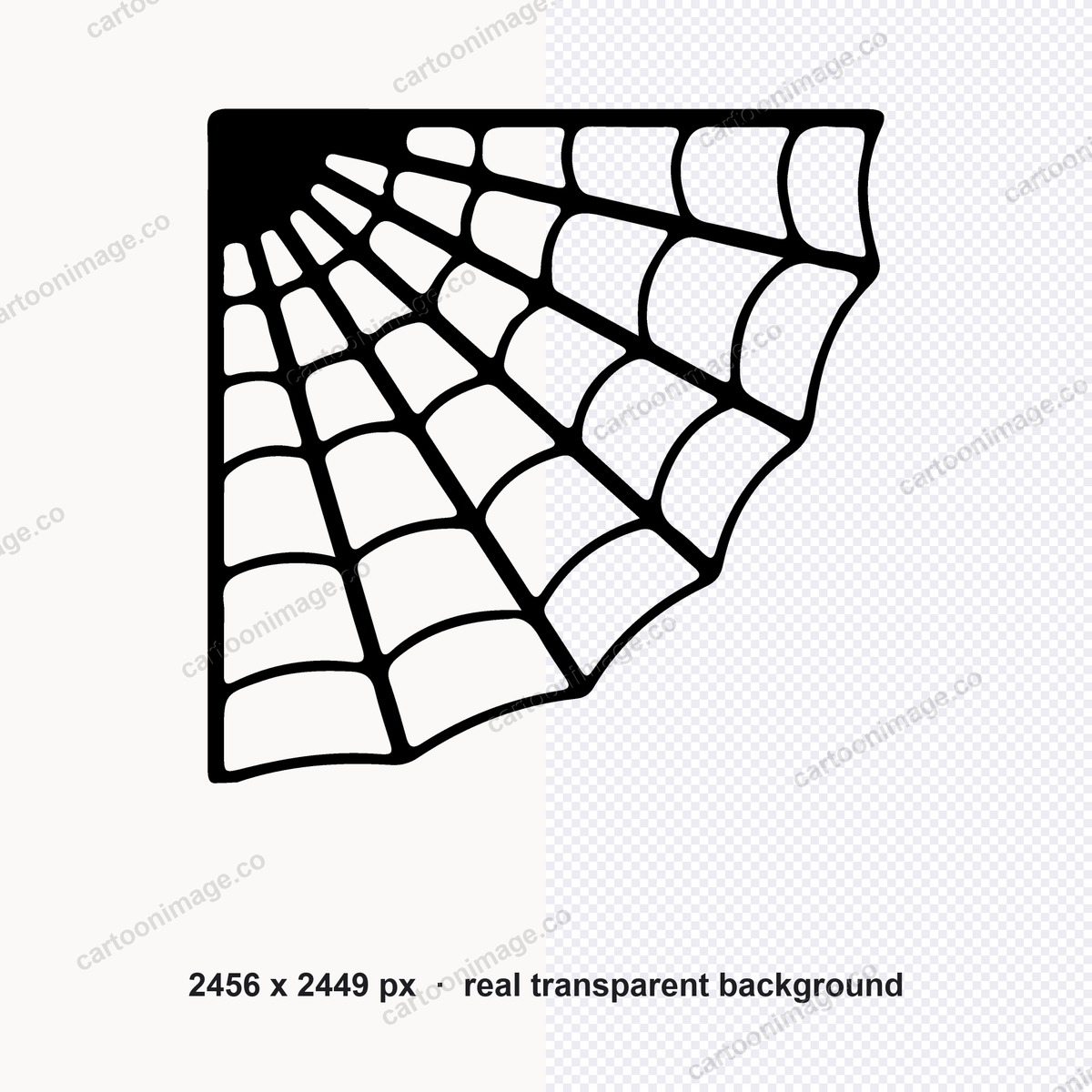 Single spiderweb illustration enlarged to show line detail and texture