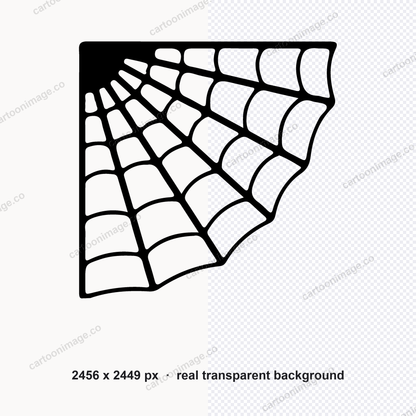 Single spiderweb illustration enlarged to show line detail and texture